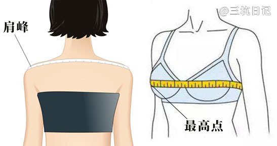 测量肩宽与胸围